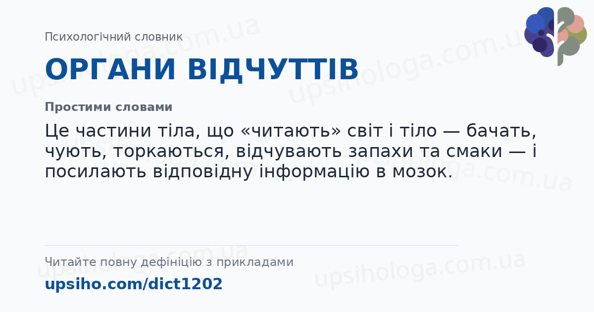 ОРГАНИ ВІДЧУТТІВ — Простими словами