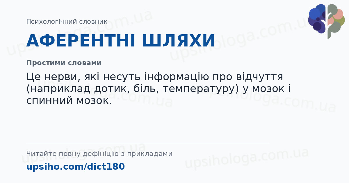 АФЕРЕНТНІ ШЛЯХИ — Простими словами