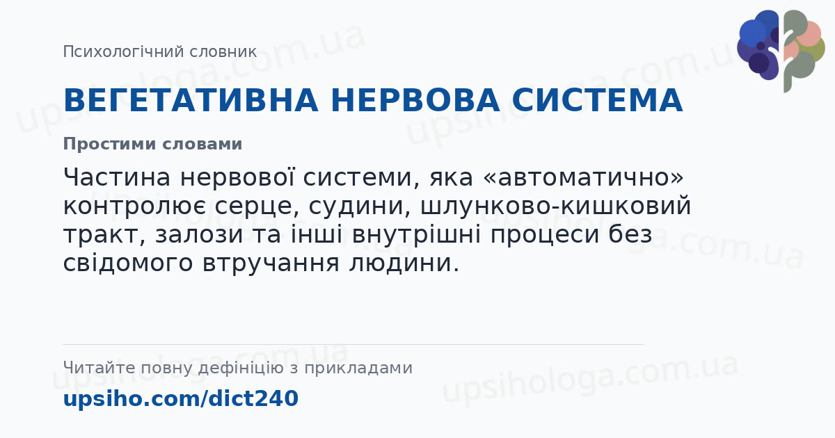 ВЕГЕТАТИВНА НЕРВОВА СИСТЕМА — Простими словами