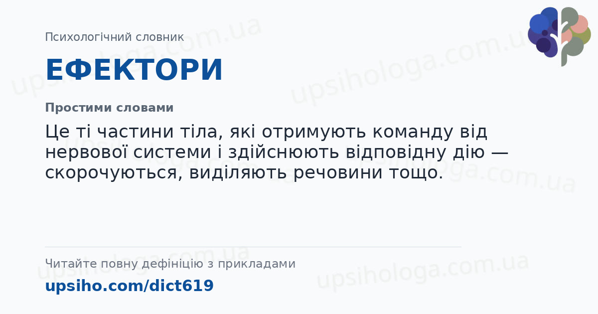 ЕФЕКТОРИ — Простими словами