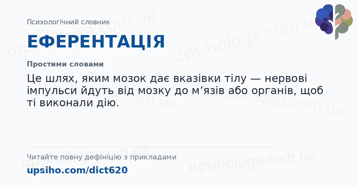 ЕФЕРЕНТАЦІЯ — Простими словами