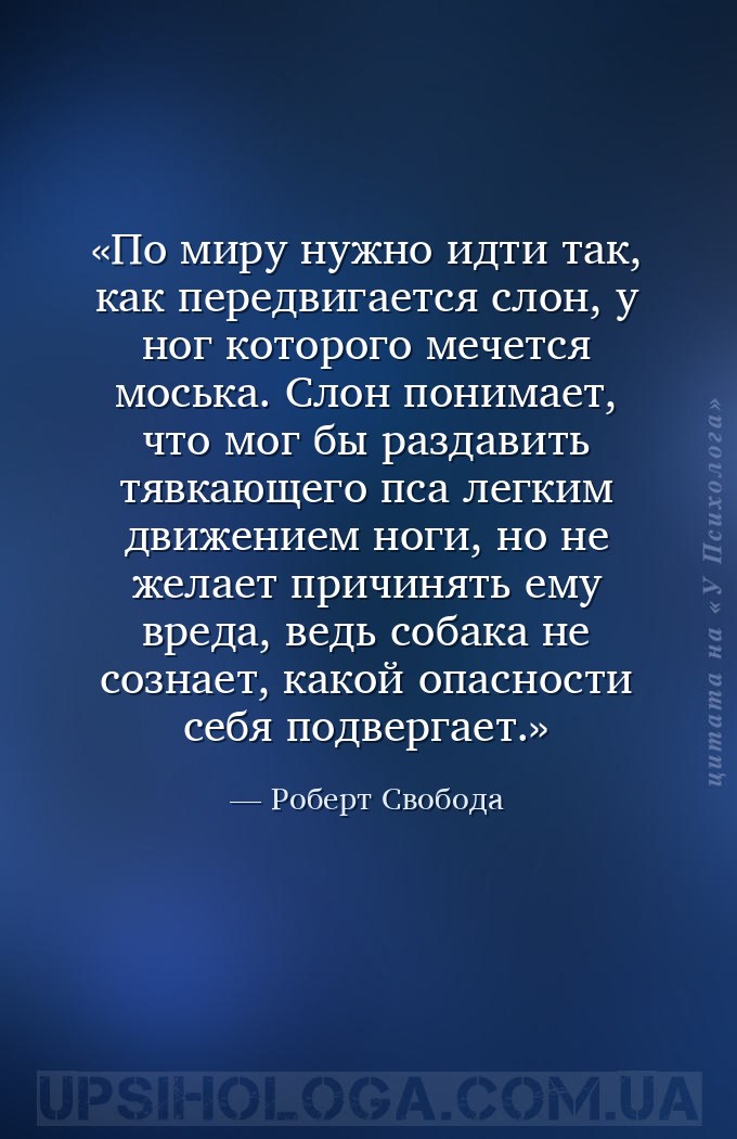 По миру нужно идти так, как передвигается слон, у ног которого мечется мось... — Роберт Свобода