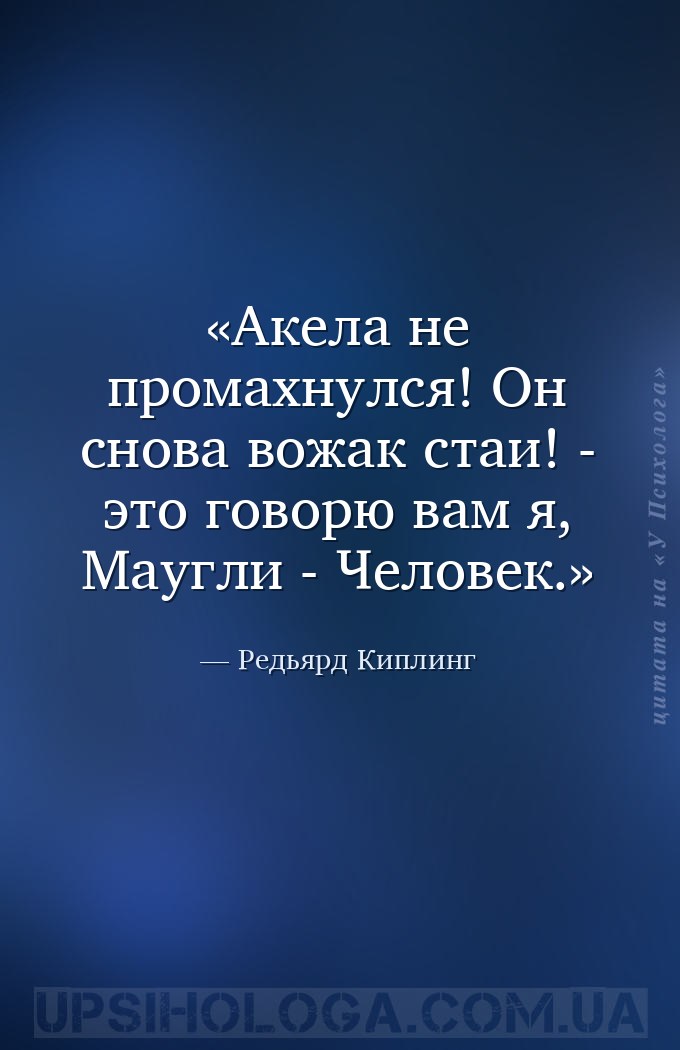 Акела не промахнулся! Он снова вожак стаи! - это говорю вам я, Маугли - Чел... — Редьярд Киплинг