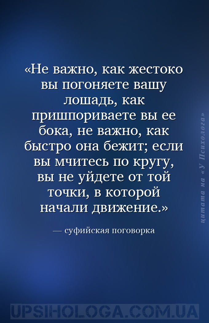 Не важно, как жестоко вы погоняете вашу лошадь, как пришпориваете вы ее бок... — суфийская поговорка