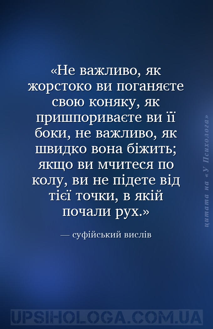 Не важливо, як жорстоко ви поганяєте свою коняку, як пришпориваєте ви її бо... — суфійський вислів