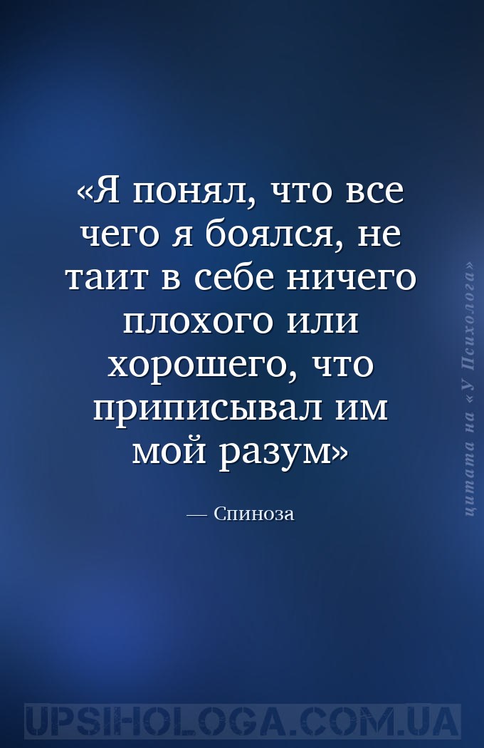 Я понял, что все чего я боялся, не таит в себе ничего плохого или хорошего,... — Спиноза