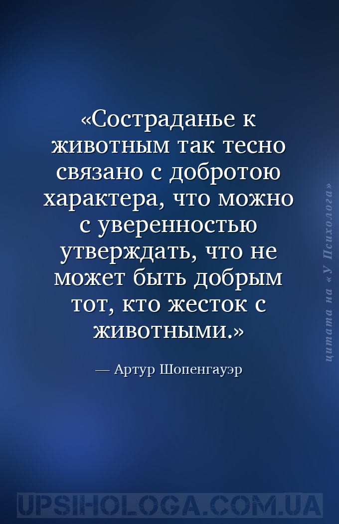 Состраданье к животным так тесно связано с добротою характера, что можно с... — Артур Шопенгауэр