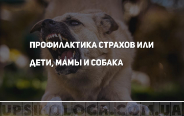 залаяла собака