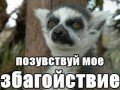 Присуща ли вам терпимость?