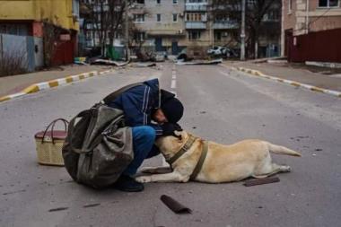пережити бойові двї