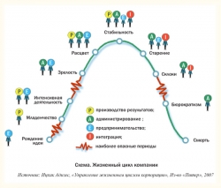 жизненный цикл бизнеса организации
